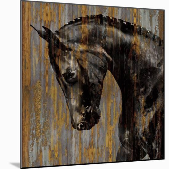 Horse I-Martin Rose-Mounted Art Print