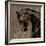 Horse I-Martin Rose-Framed Art Print