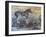 Horse II-Joseph Marshal Foster-Framed Art Print