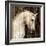 Horse II-Martin Rose-Framed Art Print