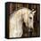 Horse II-Martin Rose-Framed Stretched Canvas