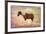 Horse Image-Ata Alishahi-Framed Giclee Print