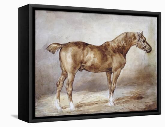 Horse in a Stable-Théodore Géricault-Framed Premier Image Canvas