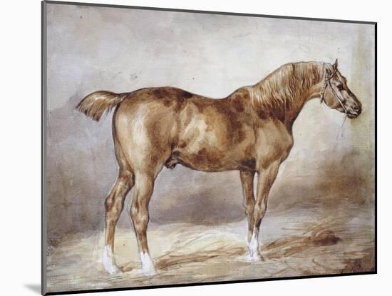 Horse in a Stable-Théodore Géricault-Mounted Giclee Print