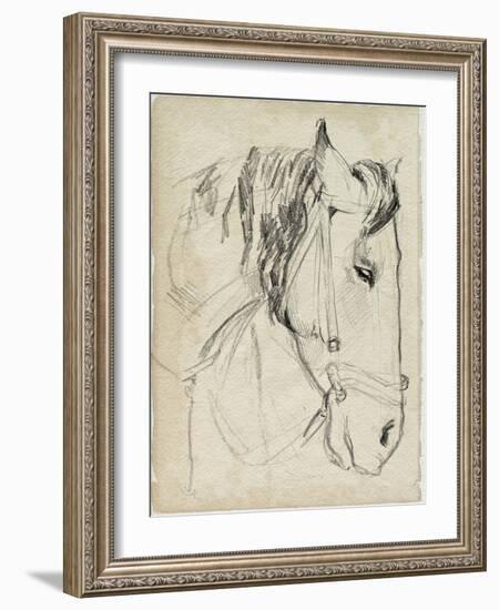 Horse in Bridle Sketch I-Jennifer Parker-Framed Art Print