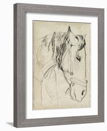 Horse in Bridle Sketch I-Jennifer Parker-Framed Art Print