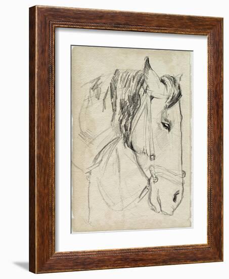 Horse in Bridle Sketch I-Jennifer Parker-Framed Art Print