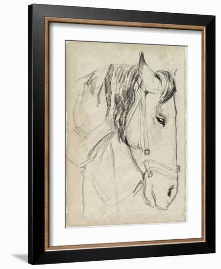 Horse in Bridle Sketch I-Jennifer Parker-Framed Art Print