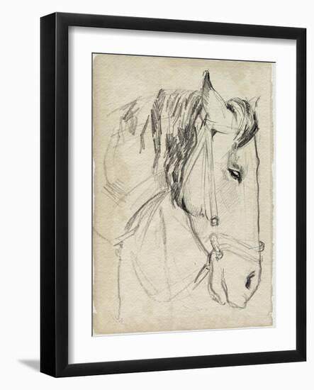 Horse in Bridle Sketch I-Jennifer Parker-Framed Art Print