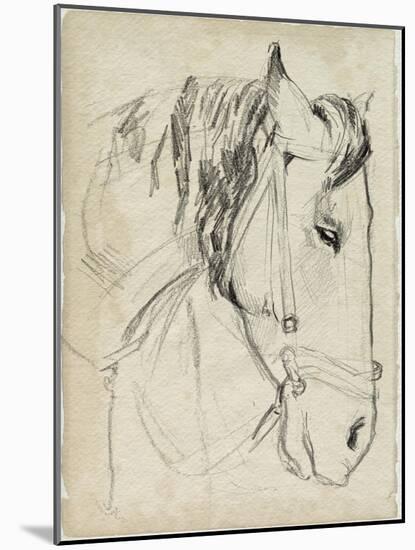 Horse in Bridle Sketch I-Jennifer Parker-Mounted Art Print