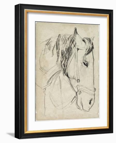 Horse in Bridle Sketch I-Jennifer Parker-Framed Art Print