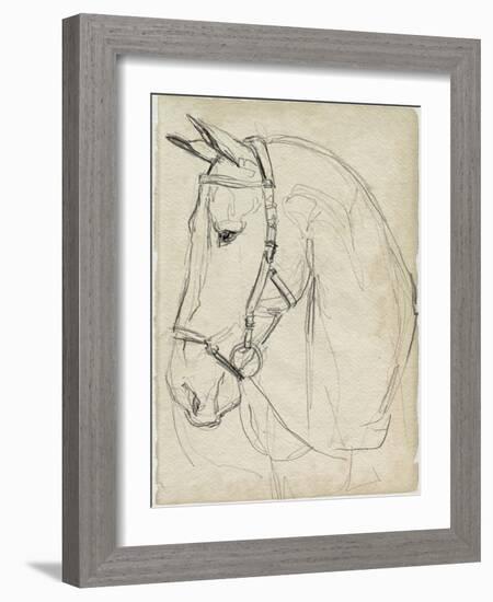 Horse in Bridle Sketch II-Jennifer Parker-Framed Art Print