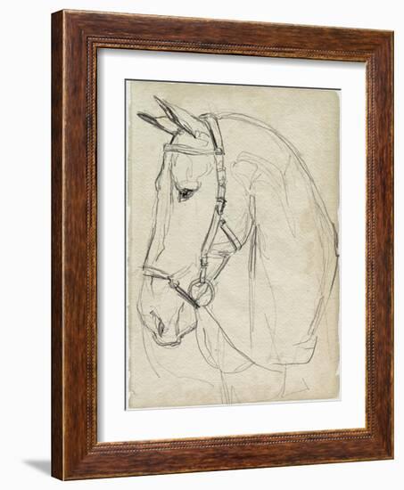 Horse in Bridle Sketch II-Jennifer Parker-Framed Art Print