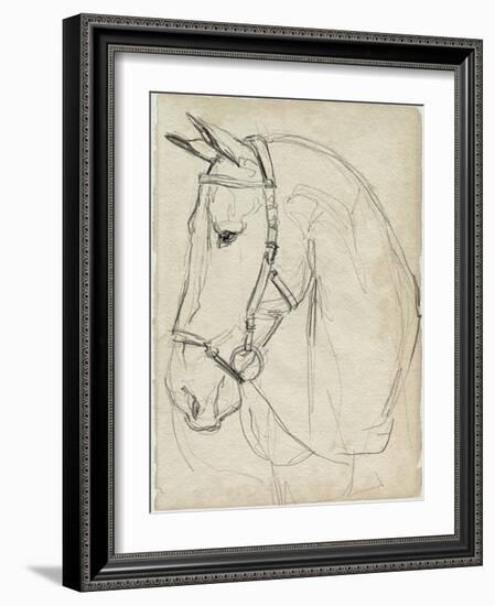 Horse in Bridle Sketch II-Jennifer Parker-Framed Art Print