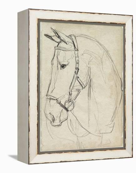 Horse in Bridle Sketch II-Jennifer Parker-Framed Stretched Canvas