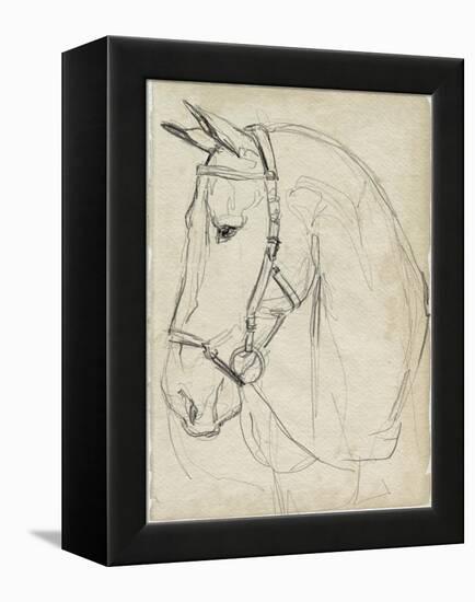 Horse in Bridle Sketch II-Jennifer Parker-Framed Stretched Canvas