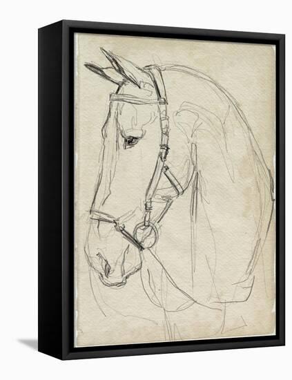 Horse in Bridle Sketch II-Jennifer Parker-Framed Stretched Canvas