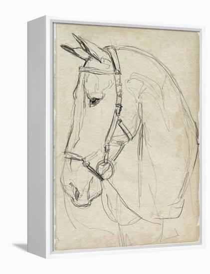 Horse in Bridle Sketch II-Jennifer Parker-Framed Stretched Canvas