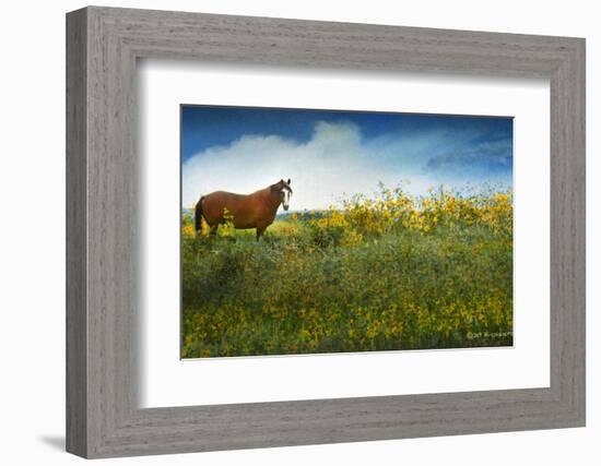Horse in Flowers I-Chris Vest-Framed Photographic Print