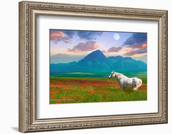 Horse in Flowers II-Chris Vest-Framed Photographic Print