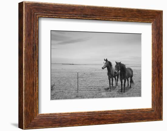 Horse in High Desert, Trujillo, New Mexico-Paul Souders-Framed Photographic Print