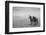 Horse in High Desert, Trujillo, New Mexico-Paul Souders-Framed Photographic Print