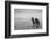 Horse in High Desert, Trujillo, New Mexico-Paul Souders-Framed Photographic Print