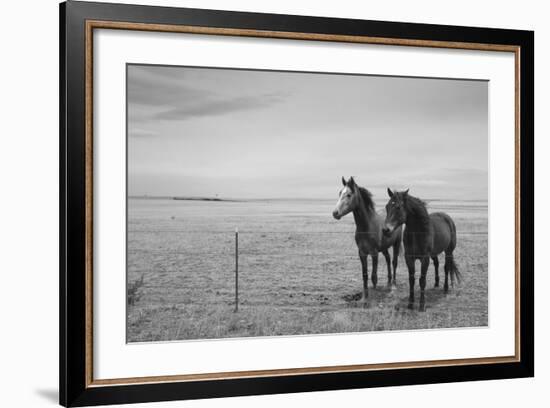 Horse in High Desert, Trujillo, New Mexico-Paul Souders-Framed Photographic Print