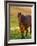 Horse in Pasture Near Pullman, Washington, USA-Chuck Haney-Framed Photographic Print