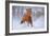 Horse in Snow-Lantern Press-Framed Art Print