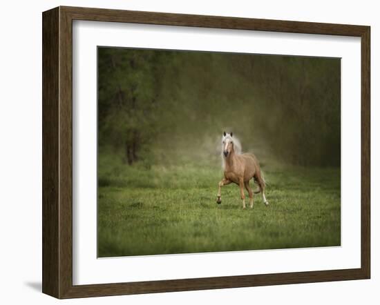 Horse in the Field II-Ozana Sturgeon-Framed Photographic Print