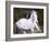 Horse in the Field V-Ozana Sturgeon-Framed Photographic Print