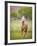 Horse in the Field VI-Ozana Sturgeon-Framed Photographic Print