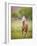 Horse in the Field VI-Ozana Sturgeon-Framed Photographic Print