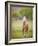 Horse in the Field VI-Ozana Sturgeon-Framed Photographic Print