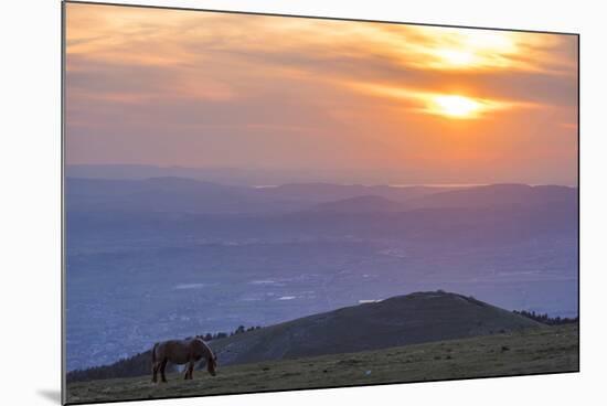 Horse in the fields, Mount Subasio, Umbria, Italy, Europe-Lorenzo Mattei-Mounted Photographic Print