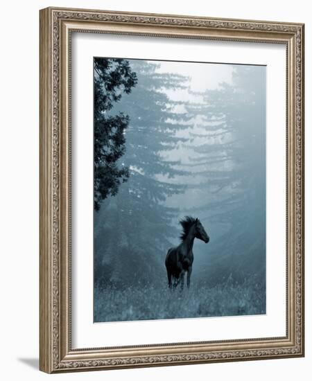 Horse in the Trees I-Susan Friedman-Framed Photographic Print