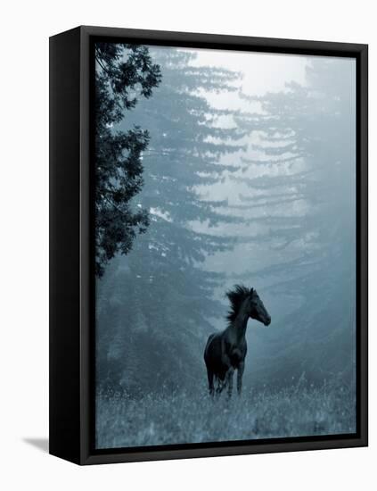 Horse in the Trees I-Susan Friedman-Framed Premier Image Canvas