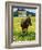 Horse in Tidy Tips-Darrell Gulin-Framed Photographic Print