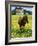 Horse in Tidy Tips-Darrell Gulin-Framed Photographic Print