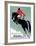 Horse Jumper Show-Unknown Unknown-Framed Giclee Print