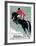 Horse Jumper Show-Unknown Unknown-Framed Giclee Print