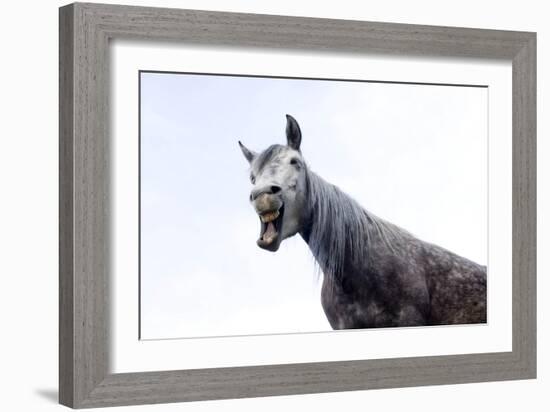 Horse Laughing-Charles Bowman-Framed Photographic Print