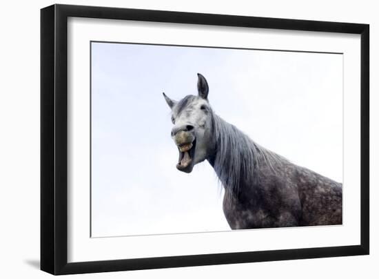 Horse Laughing-Charles Bowman-Framed Photographic Print