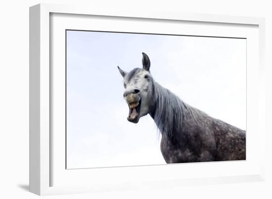 Horse Laughing-Charles Bowman-Framed Photographic Print