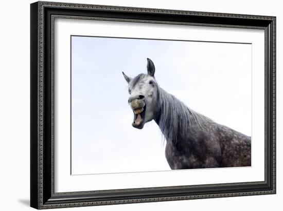 Horse Laughing-Charles Bowman-Framed Photographic Print