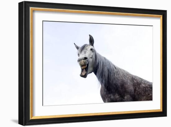 Horse Laughing-Charles Bowman-Framed Photographic Print