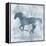 Horse Live-Erin Clark-Framed Premier Image Canvas