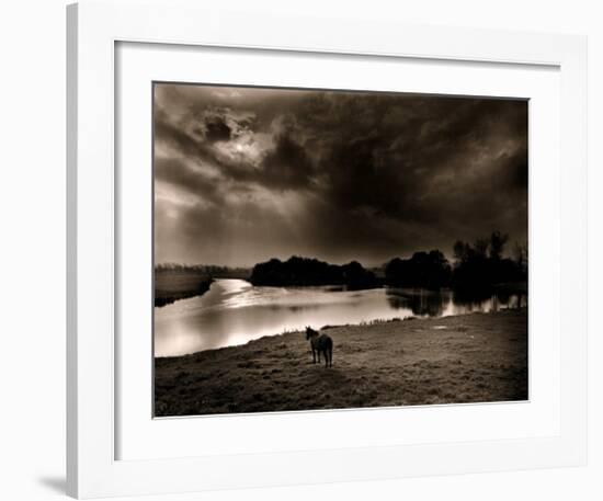 Horse Looking at the river, Normandie 99-Olivier Meriel-Framed Art Print