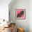 Horse Love Pink-Sharon Turner-Framed Art Print displayed on a wall